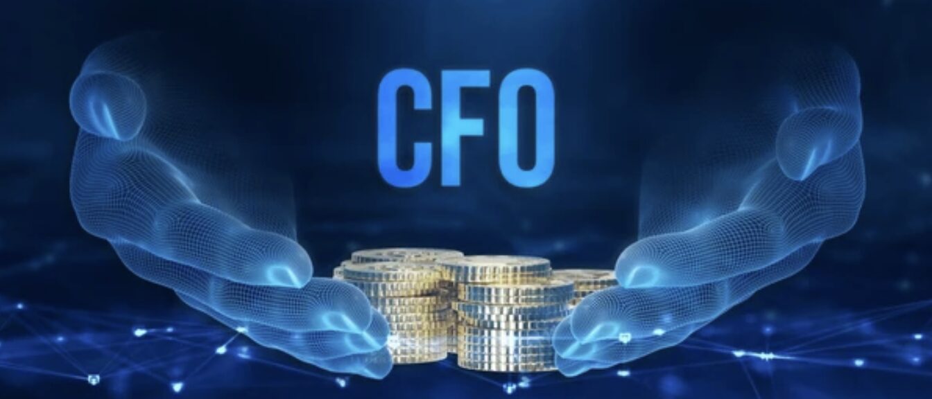 Founder's Accounting, Fractional Chief Financial Officer, Fractional CFO, fCFO, Financial Analyst, Financial Analysis, Corporate Tax Planning, Financial Planning and Analysis, Financial Forecasting, Financial Strategy, Bookkeeping For Founders, Small Business Bookkeeping, Small Business Bookkeeper, Scaling Small Business, Exit Planning